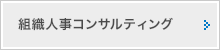 組織人事コンサルティング